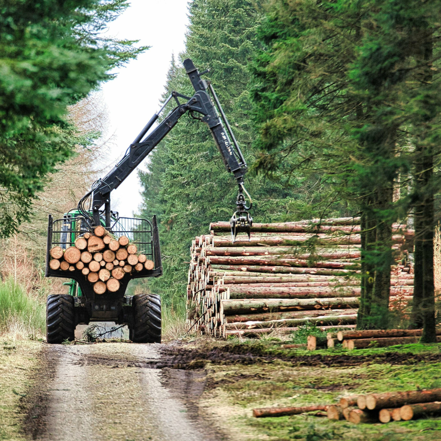 <p>Komisija: Valdības atbalstu saņēmu&scaron;o kokrūpnieku finan&scaron;u stāvoklis nebija nestabils</p>