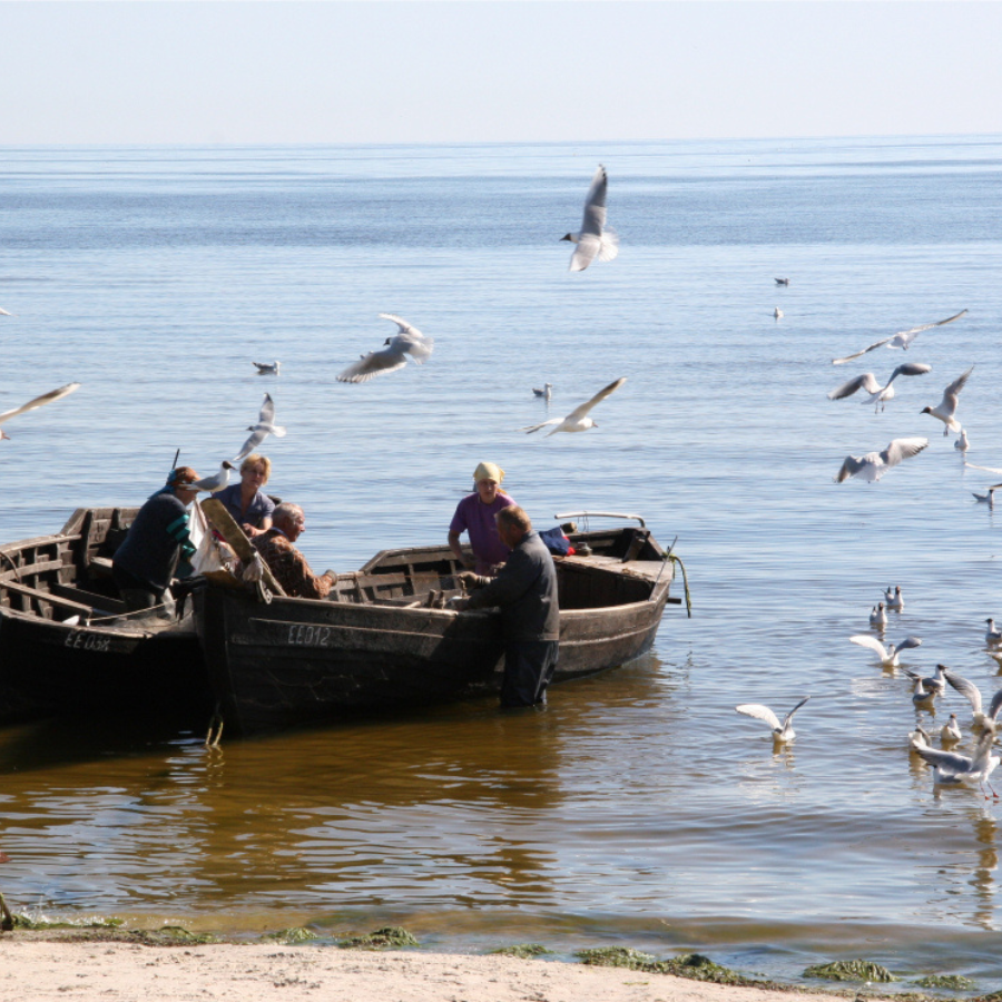 <p>Piekrastes teritoriju attīstībai pieejams 40 miljonu eiro atbalsts</p>