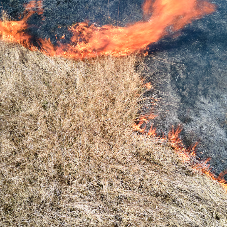 <p>Dzēsti &scaron;ogad pirmie kūlas ugunsgrēki</p>