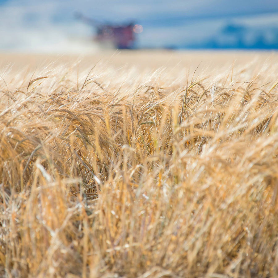 <p>Lauksaimnieki: Konflikts Tuvajos Austrumos var veicināt minerālmēslu un pārtikas cenu kāpumu</p>