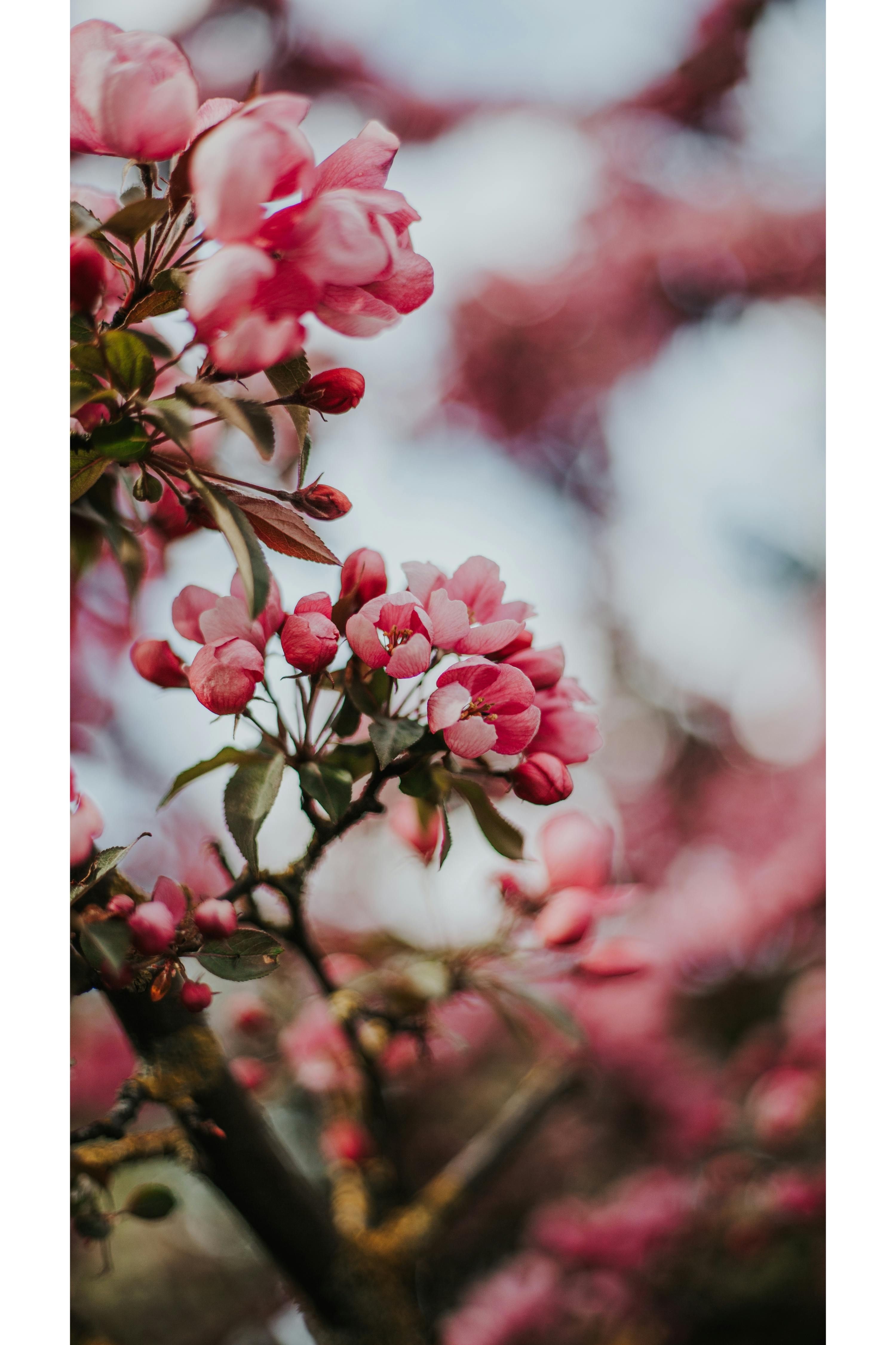 <p>Turpmākajās dienās pakāpeniski kļūs siltāks</p>