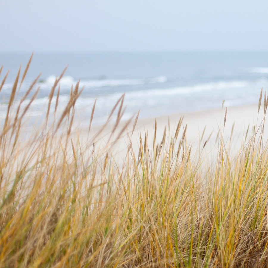 <p>Saglabāsim pludmales tīras</p>
<p>&nbsp;</p>