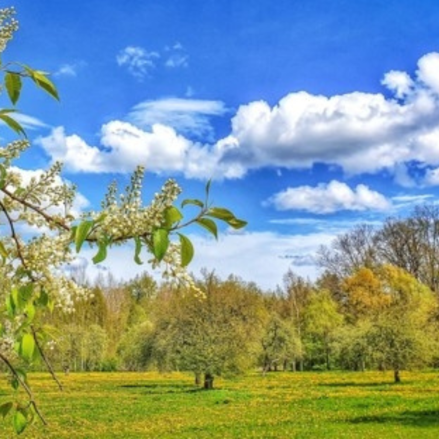 <p>Akcijā "Viena diena Latvijā"dokumentēs dabas ritmu norises</p>