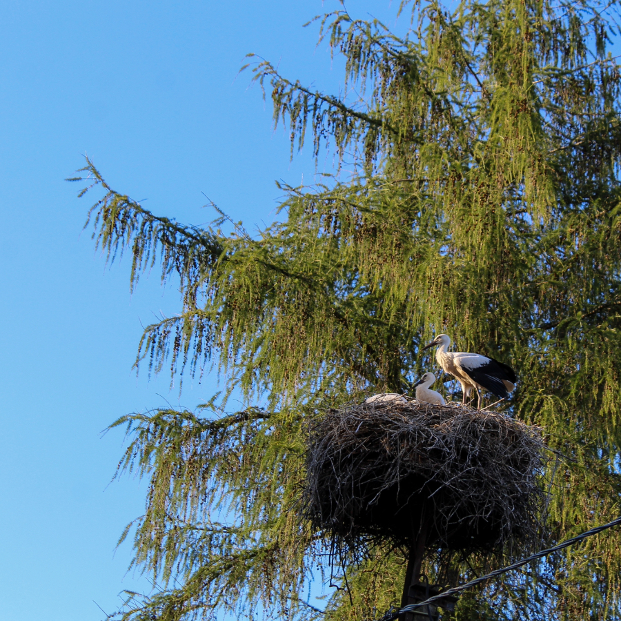 <p>Tre&scaron;dien visā Latvijā saulains un karsts laiks</p>