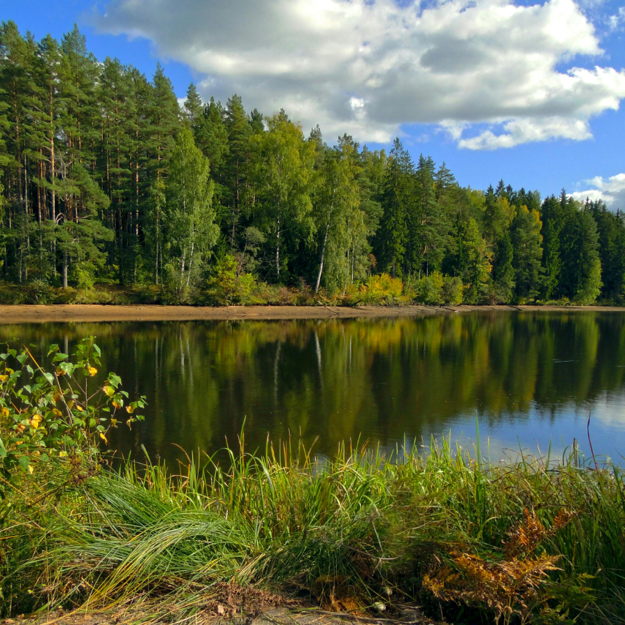 <p>Dažviet Kurzemē ūdens līmenis upēs cēlies par diviem metriem</p>