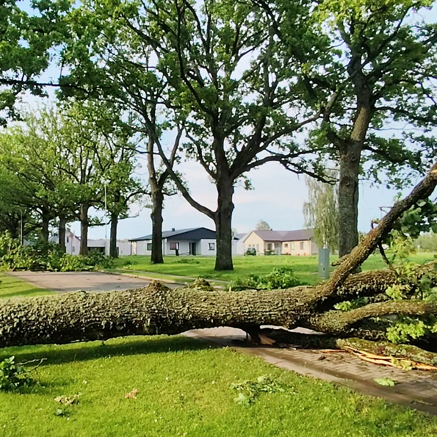 <p>Ceturtdien spēcīgais vēj&scaron; visvairāk postījumu radījis Valmieras apkārtnē</p>